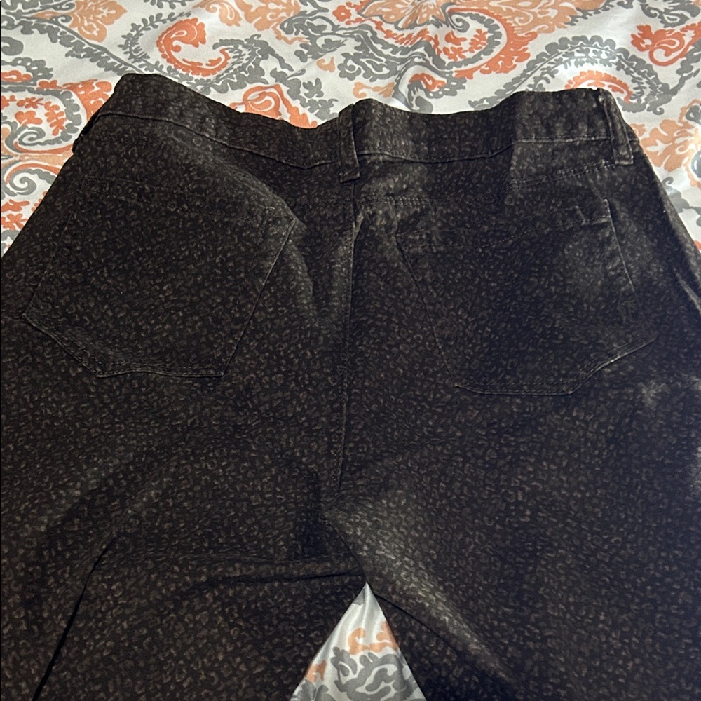 Women’s style & co  denim  brown jean size 6 petite.